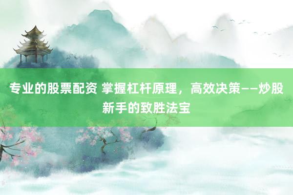 专业的股票配资 掌握杠杆原理，高效决策——炒股新手的致胜法宝
