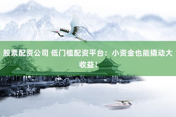 股票配资公司 低门槛配资平台：小资金也能撬动大收益！