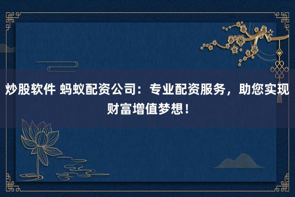 炒股软件 蚂蚁配资公司：专业配资服务，助您实现财富增值梦想！