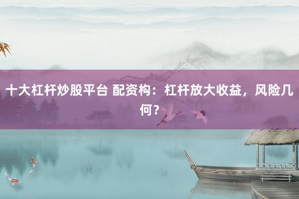 十大杠杆炒股平台 配资构：杠杆放大收益，风险几何？