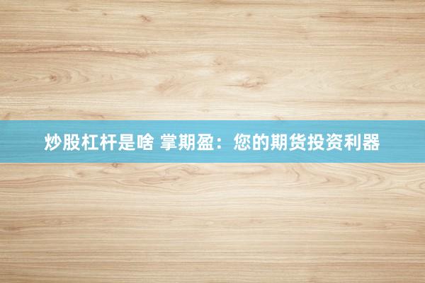 炒股杠杆是啥 掌期盈：您的期货投资利器