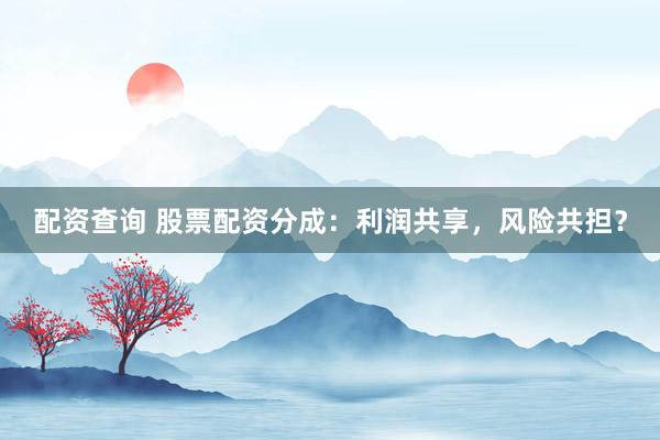 配资查询 股票配资分成：利润共享，风险共担？