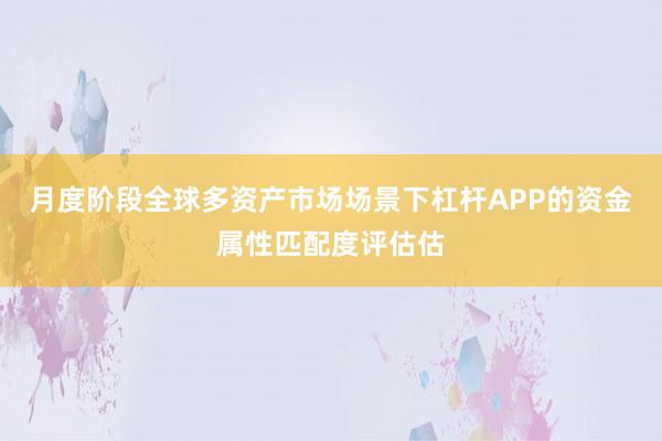 月度阶段全球多资产市场场景下杠杆APP的资金属性匹配度评估估