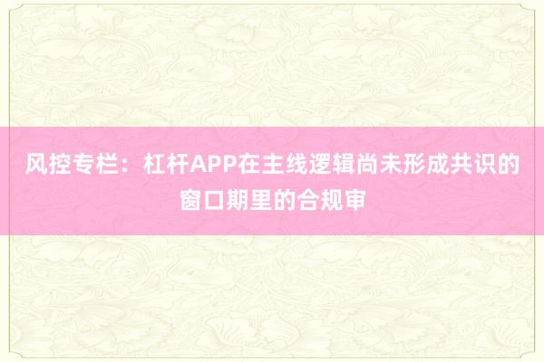 风控专栏:杠杆APP在主线逻辑尚未形成共识的窗口期里的合规审