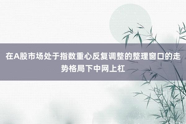 在A股市场处于指数重心反复调整的整理窗口的走势格局下中网上杠