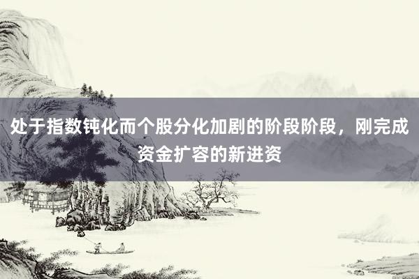 处于指数钝化而个股分化加剧的阶段阶段，刚完成资金扩容的新进资