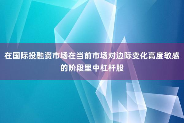 在国际投融资市场在当前市场对边际变化高度敏感的阶段里中杠杆股