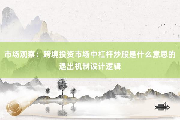 市场观察：跨境投资市场中杠杆炒股是什么意思的退出机制设计逻辑